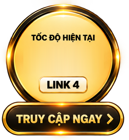 LINK 4